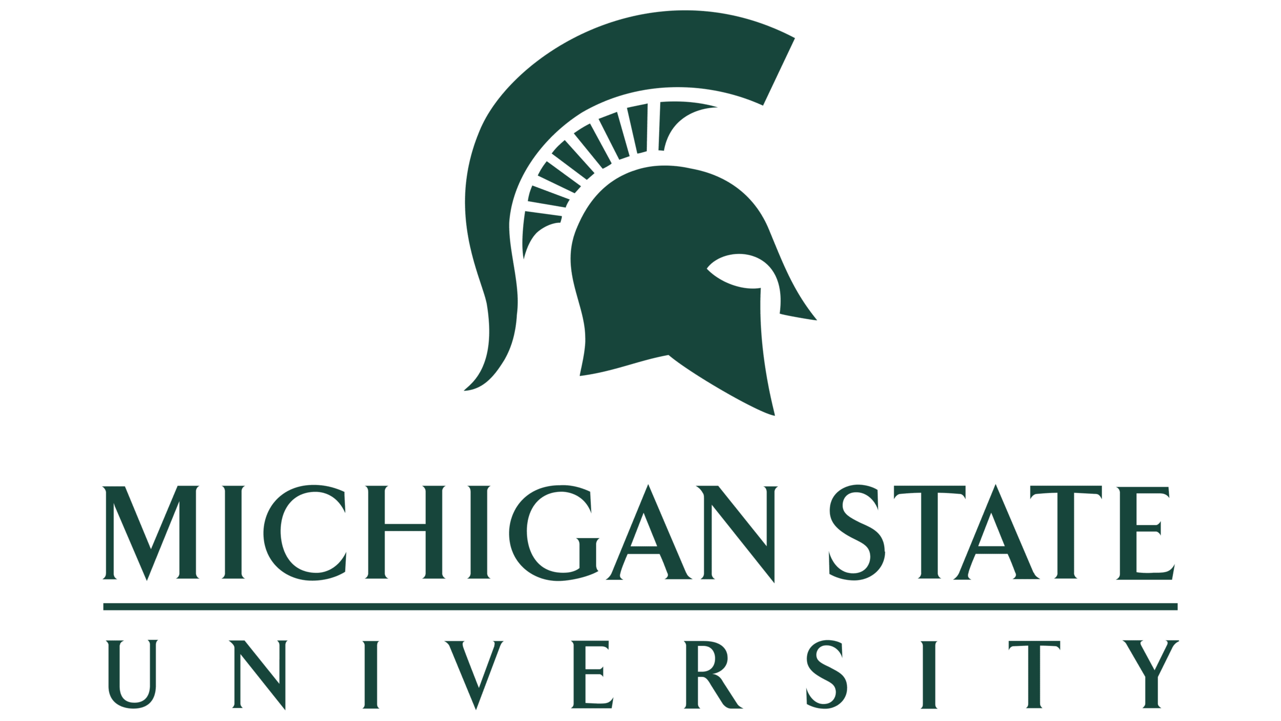 Michigan State University