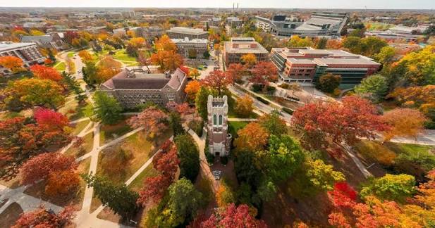 Michigan State University